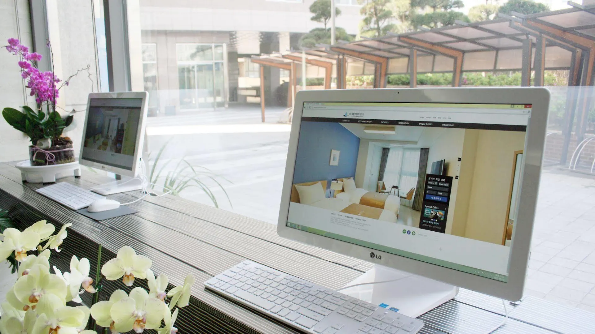 Bellia Hotel Busan